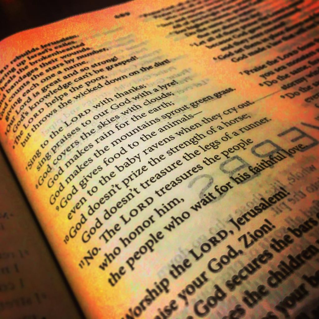 Artsy picture of a Bible page